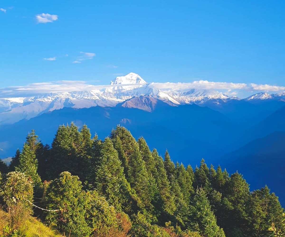 Ghorepani Poonhill