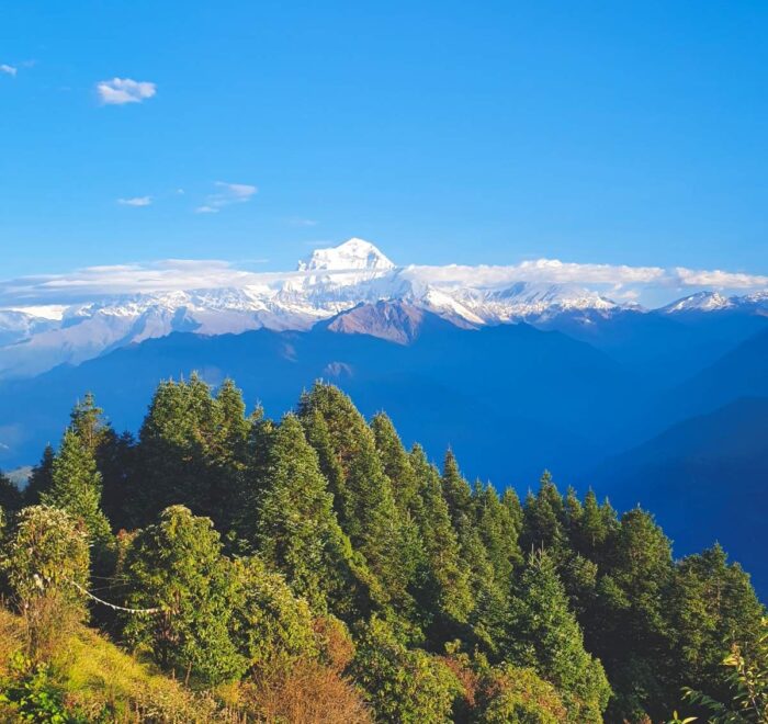 Ghorepani Poonhill