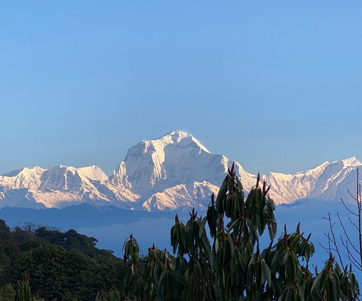 Ghorepani Poonhill