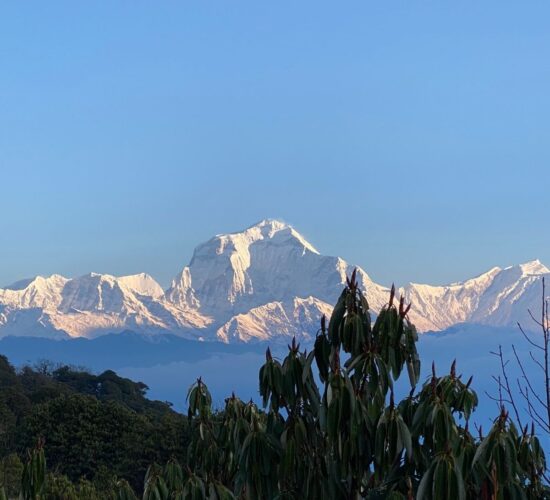 Ghorepani Poonhill