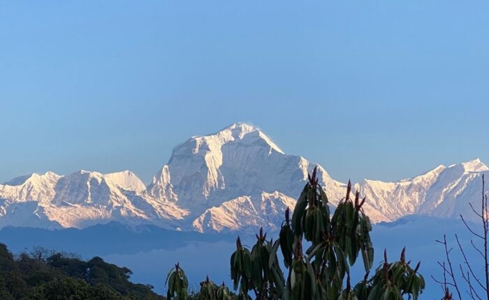 Ghorepani Poonhill