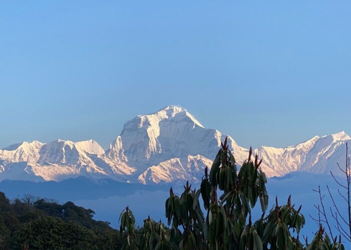 Ghorepani Poonhill