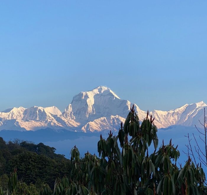 Ghorepani Poonhill