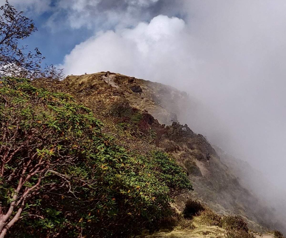 Mardi Himal Base Camp