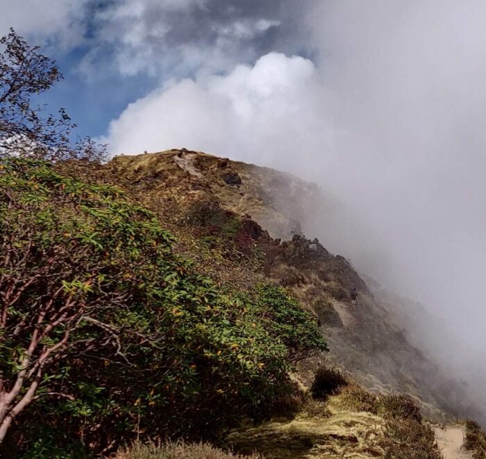 Mardi Himal Base Camp