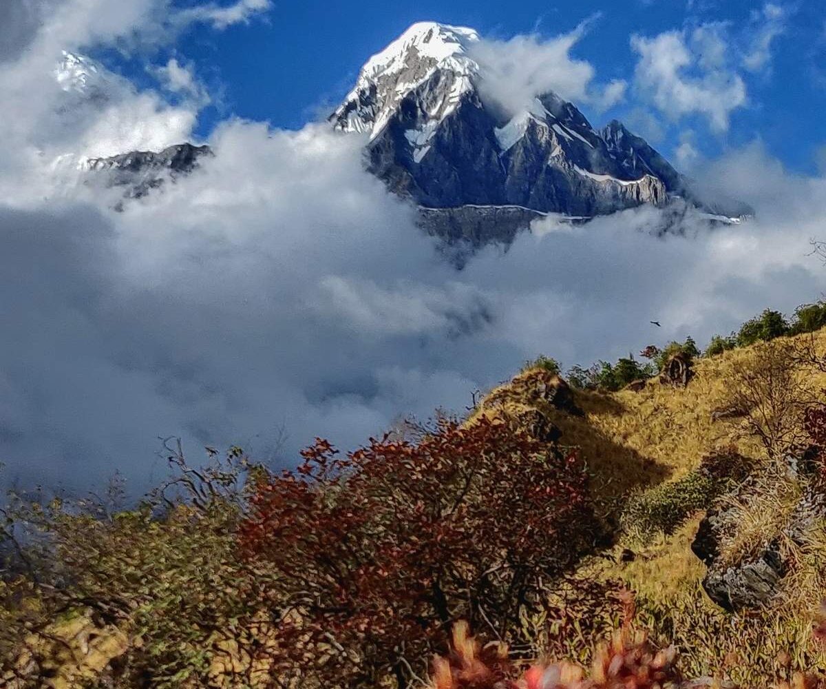 Mardi Himal Base Camp