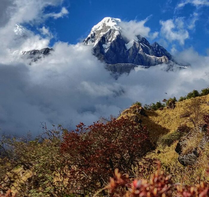 Mardi Himal Base Camp