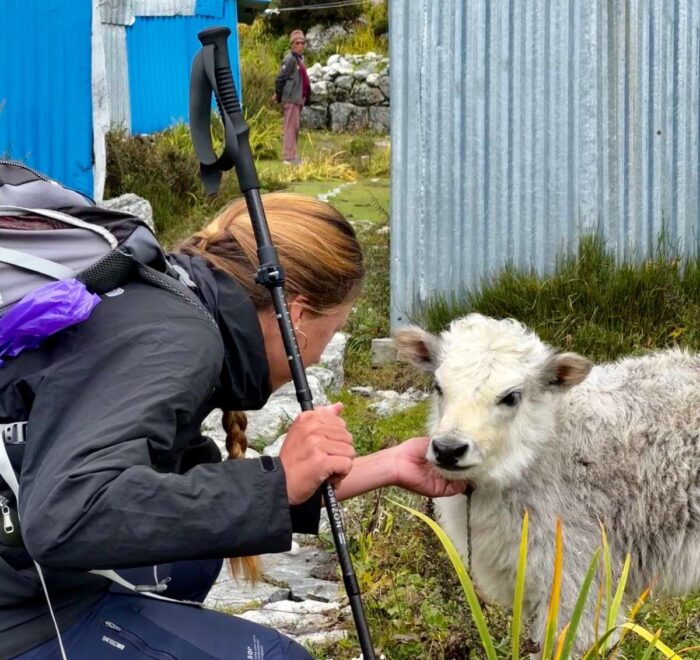 Tamang Heritage and Langtang Valley