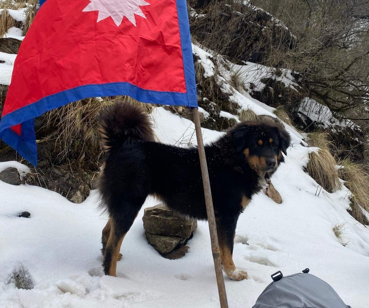 Annapurna Base Camp Short