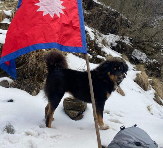 Annapurna Base Camp Short