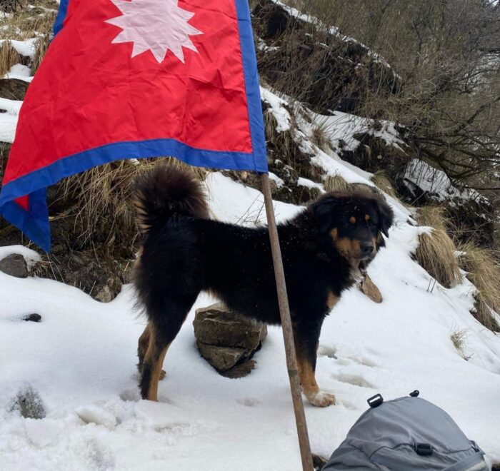 Annapurna Base Camp Short