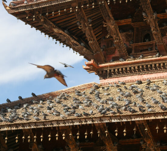 Everyday life in Kathmandu