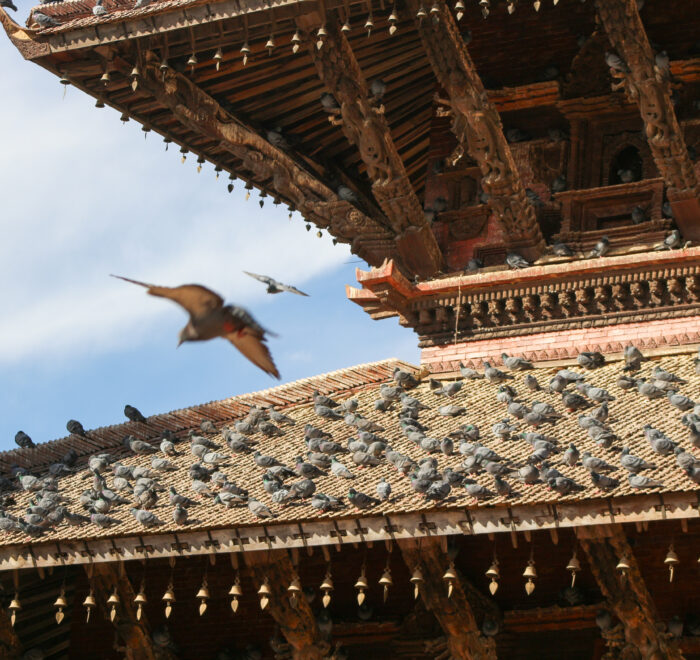 Everyday life in Kathmandu